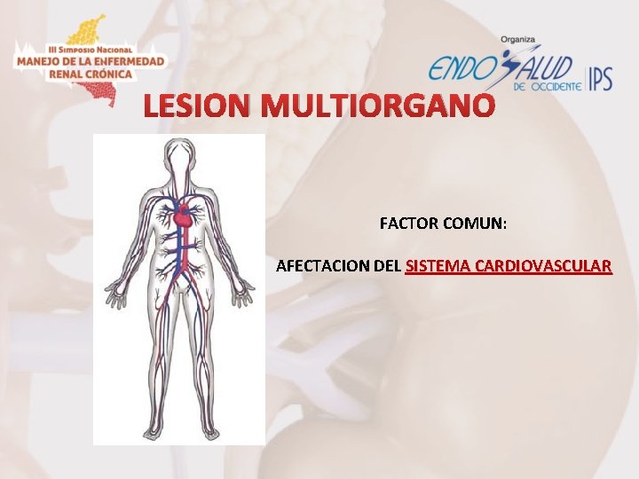 LESION MULTIORGANO FACTOR COMUN: AFECTACION DEL SISTEMA CARDIOVASCULAR 