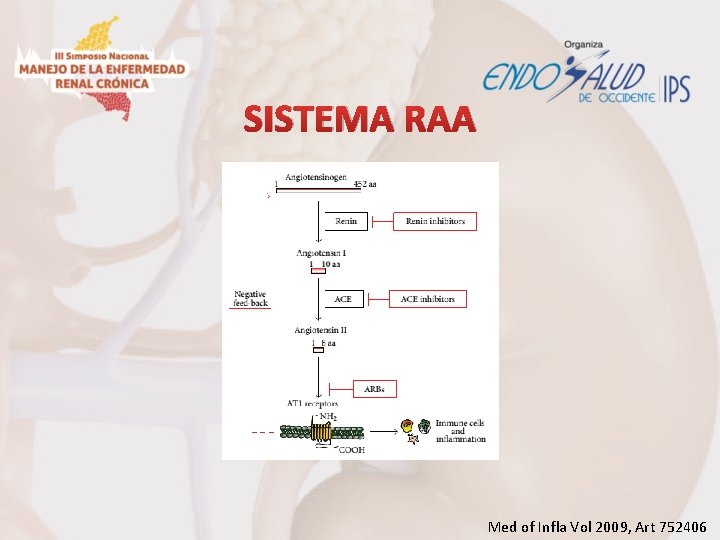 SISTEMA RAA Med of Infla Vol 2009, Art 752406 