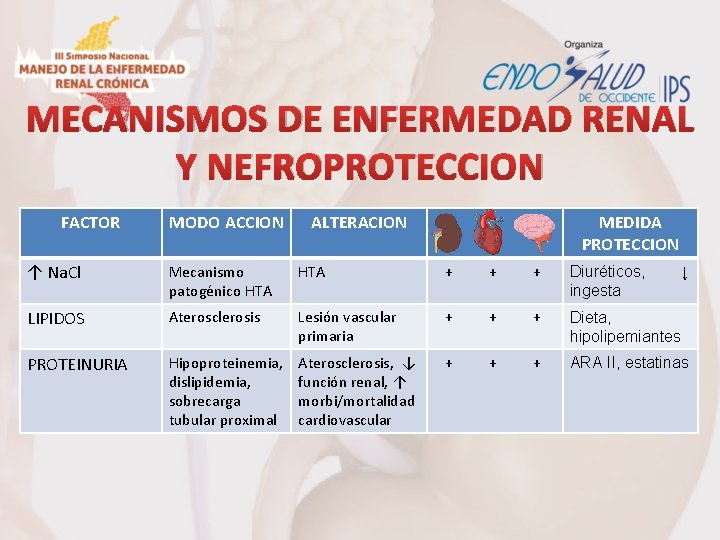 MECANISMOS DE ENFERMEDAD RENAL Y NEFROPROTECCION FACTOR MODO ACCION ALTERACION MEDIDA PROTECCION ↑ Na.