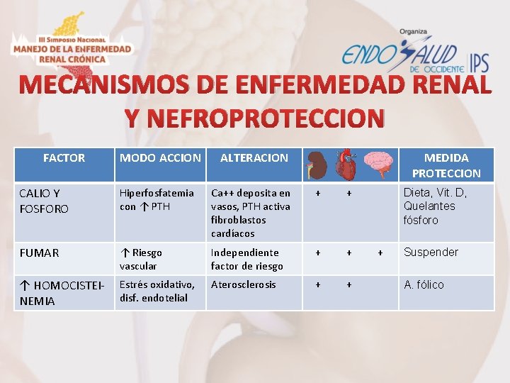MECANISMOS DE ENFERMEDAD RENAL Y NEFROPROTECCION FACTOR MODO ACCION ALTERACION MEDIDA PROTECCION CALIO Y