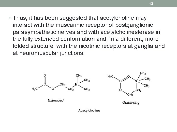 13 • Thus, it has been suggested that acetylcholine may interact with the muscarinic