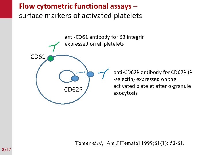 Flow cytometric functional assays – surface markers of activated platelets anti-CD 61 antibody for