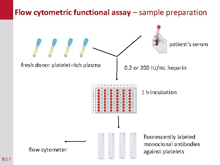 Flow cytometric functional assay – sample preparation patient’s serum fresh donor platelet-rich plasma 0.