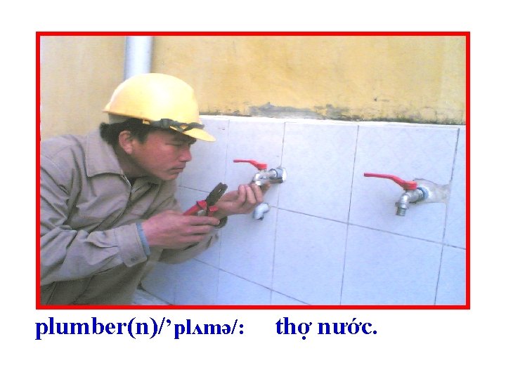 plumber(n)/’plʌmə/: thợ nước. 