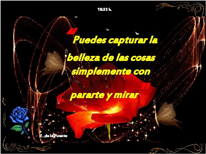 18: 33 h. “Puedes capturar la belleza de las cosas simplemente con 1 DX