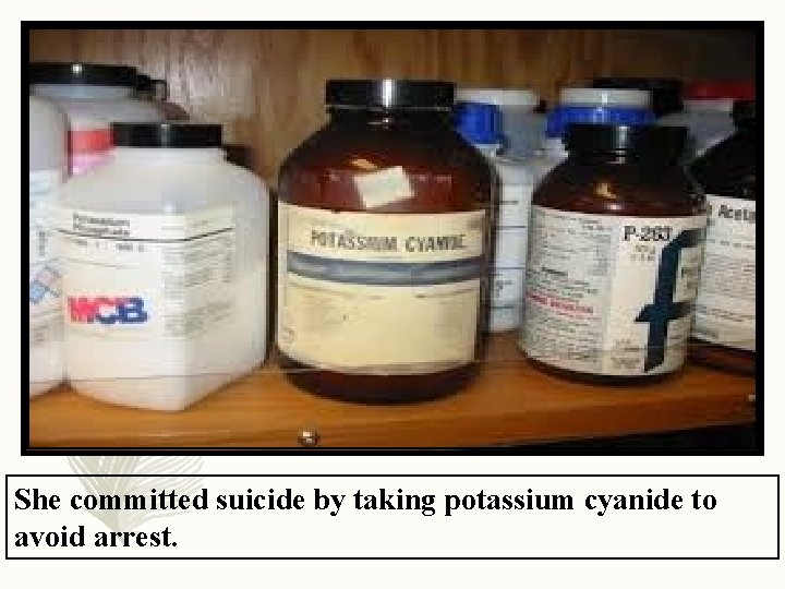 She committed suicide by taking potassium cyanide to avoid arrest. 