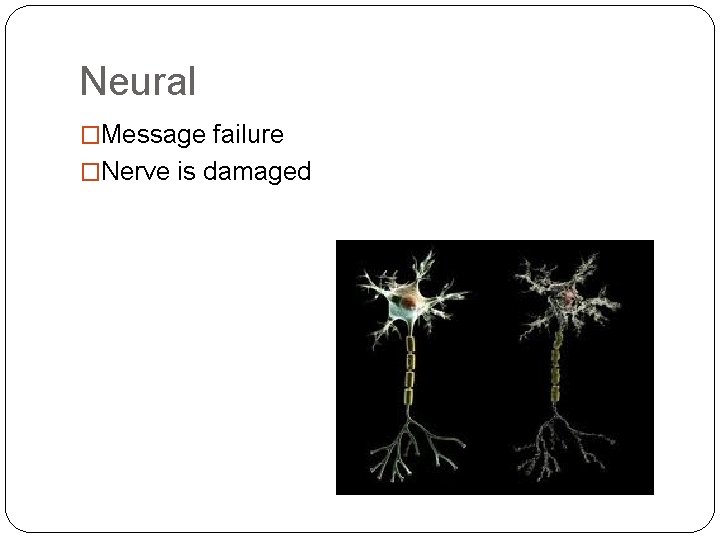Neural �Message failure �Nerve is damaged 
