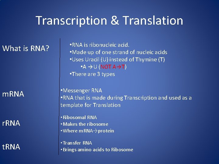 Transcription & Translation What is RNA? m. RNA • RNA is ribonucleic acid. •