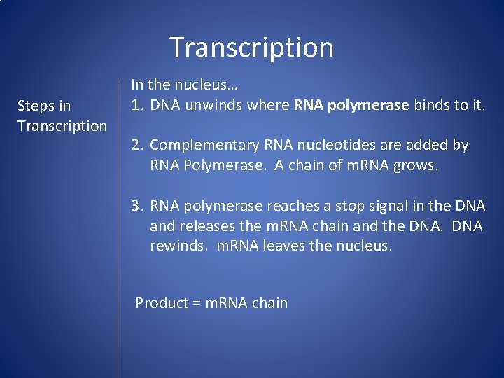 Transcription Steps in Transcription In the nucleus… 1. DNA unwinds where RNA polymerase binds