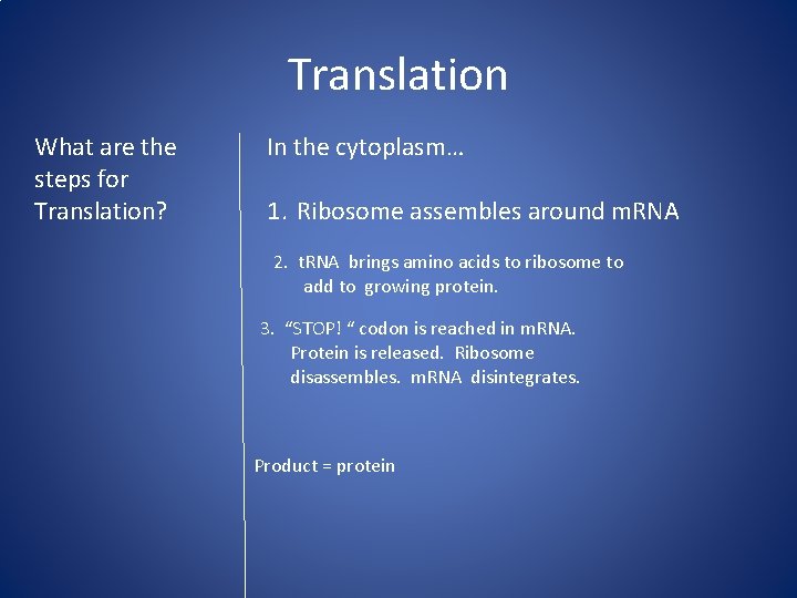 Translation What are the steps for Translation? In the cytoplasm… 1. Ribosome assembles around