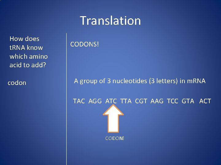 Translation How does t. RNA know which amino acid to add? codon CODONS! A