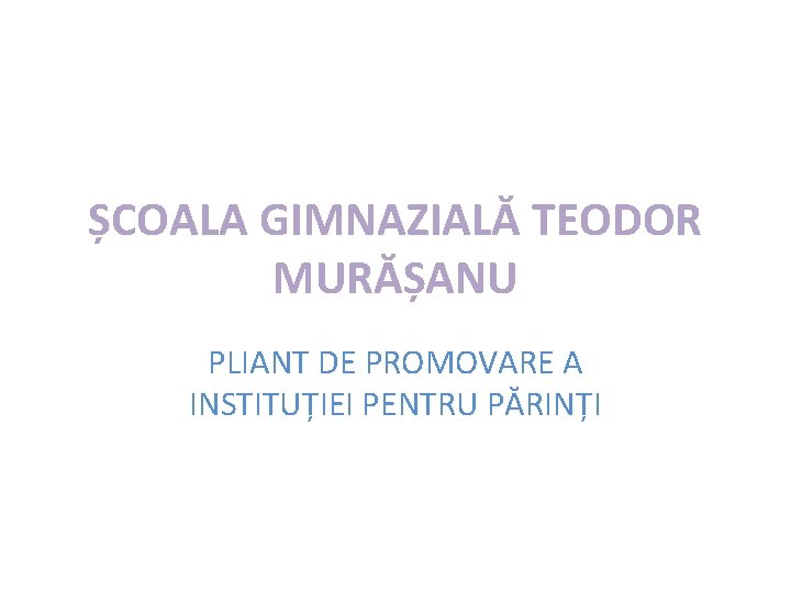 Koala intelligence overview