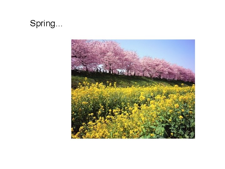 Spring… 