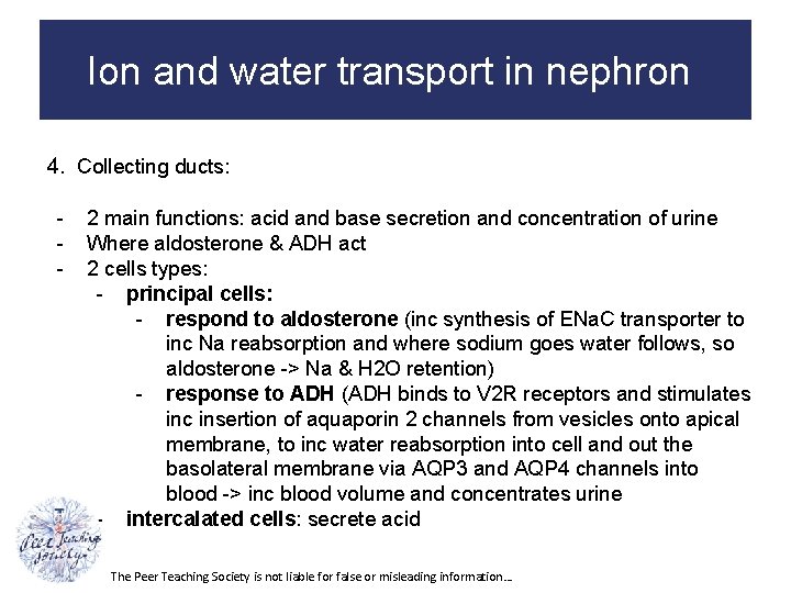 Ion and water transport in nephron 4. Collecting ducts: - 2 main functions: acid