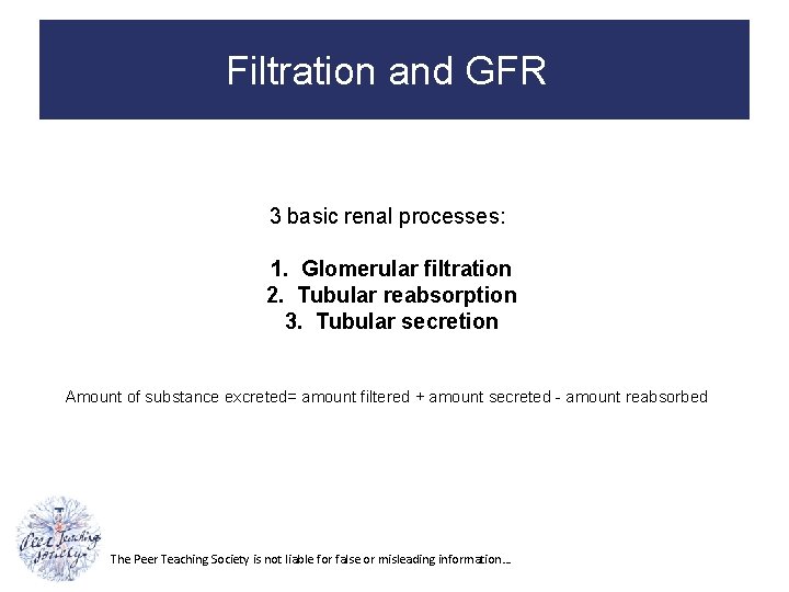Filtration and GFR 3 basic renal processes: 1. Glomerular filtration 2. Tubular reabsorption 3.