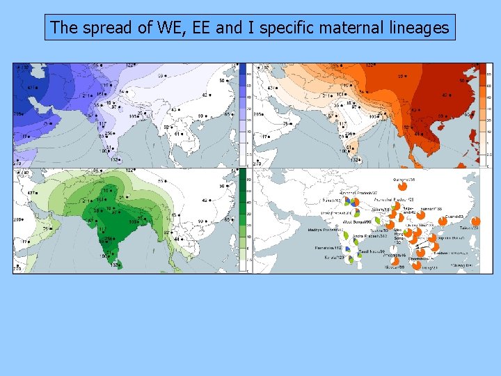 The spread of WE, EE and I specific maternal lineages 