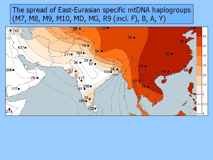 The spread of East-Eurasian specific mt. DNA haplogroups (M 7, M 8, M 9,
