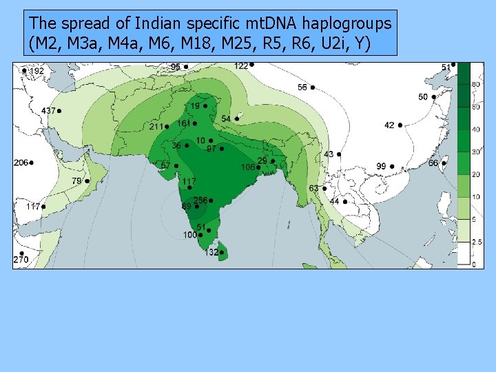 The spread of Indian specific mt. DNA haplogroups (M 2, M 3 a, M