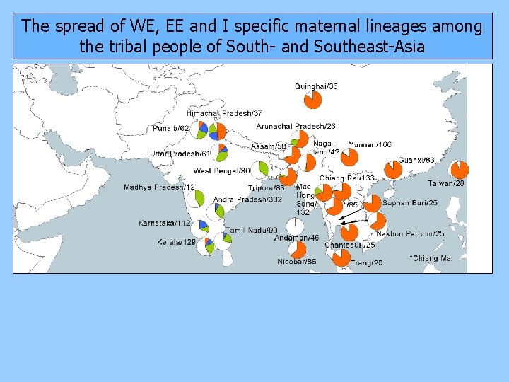 The spread of WE, EE and I specific maternal lineages among the tribal people