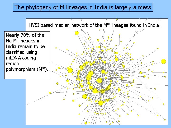 The phylogeny of M lineages in India is largely a mess HVSI based median