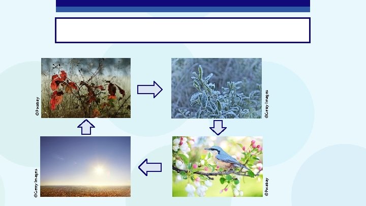 ©Pixabay ©Getty Images ©Pixabay 