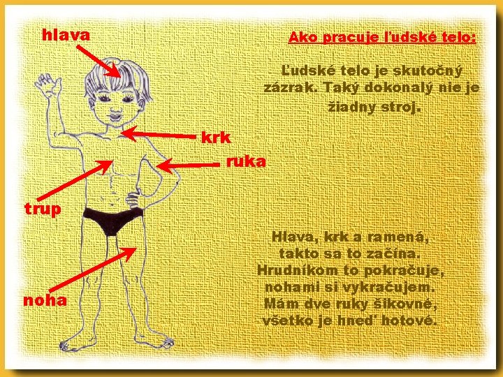 hlava Ako pracuje ľudské telo: Ľudské telo je skutočný zázrak. Taký dokonalý nie je