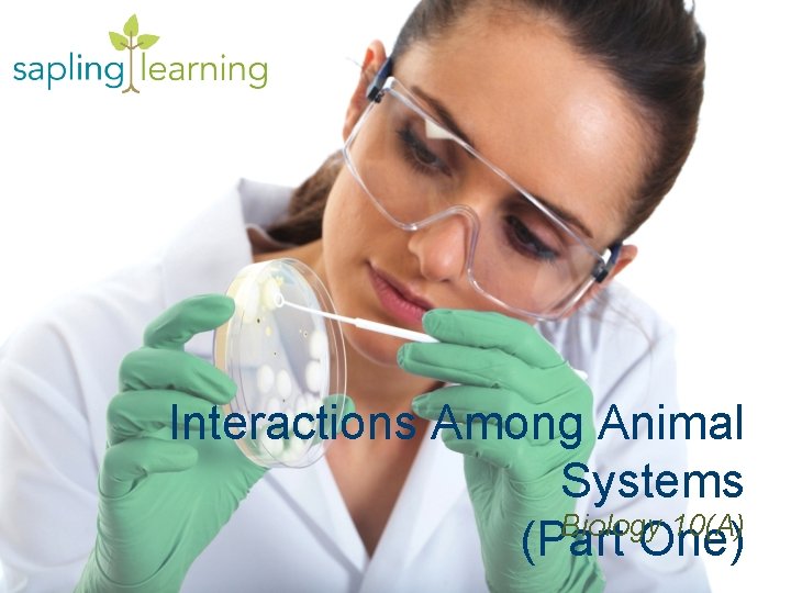 Interactions Among Animal Systems Biology 10(A) (Part One) 