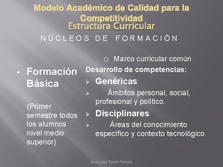 Modelo Acadmico de Calidad para la Competitividad Estructura