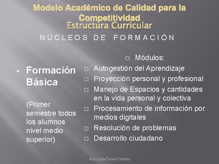 Modelo Acadmico de Calidad para la Competitividad Estructura