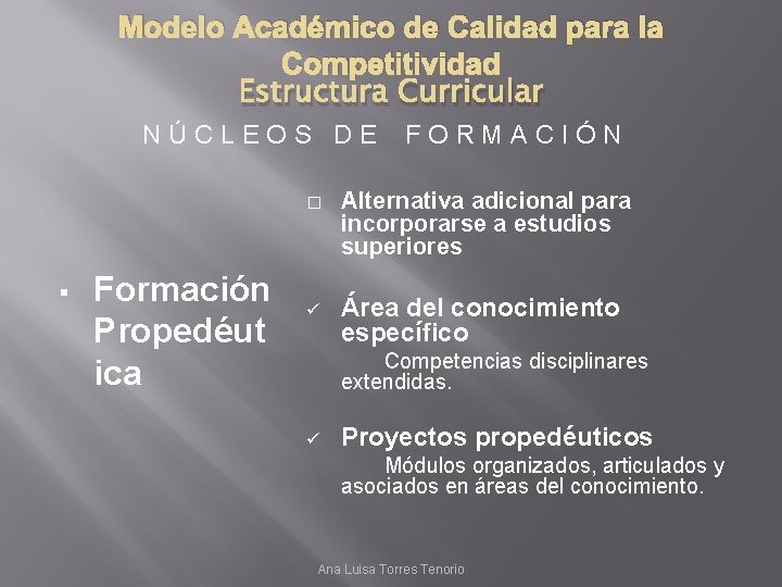 Modelo Acadmico de Calidad para la Competitividad Estructura