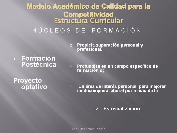 Modelo Acadmico de Calidad para la Competitividad Estructura