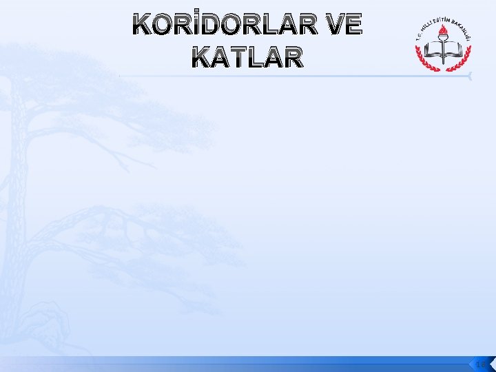 KORİDORLAR VE KATLAR 18 