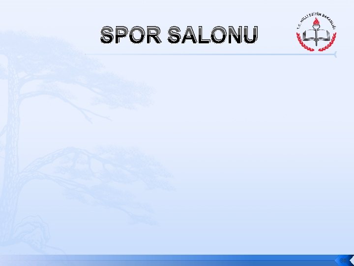 SPOR SALONU 30 