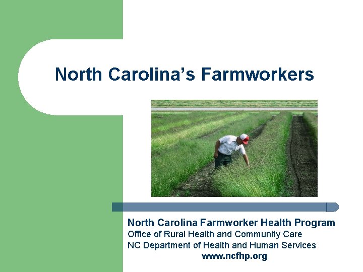 North Carolina’s Farmworkers North Carolina Farmworker Health Program Office of Rural Health and Community