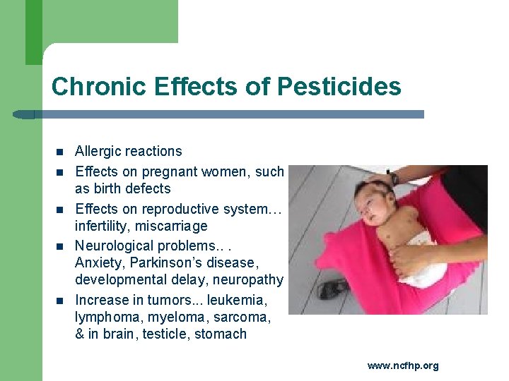 Chronic Effects of Pesticides Allergic reactions Effects on pregnant women, such as birth defects