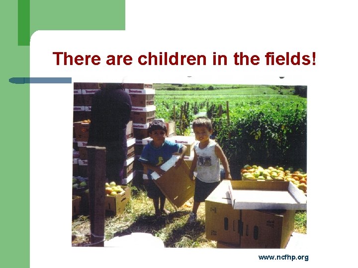 There are children in the fields! www. ncfhp. org 
