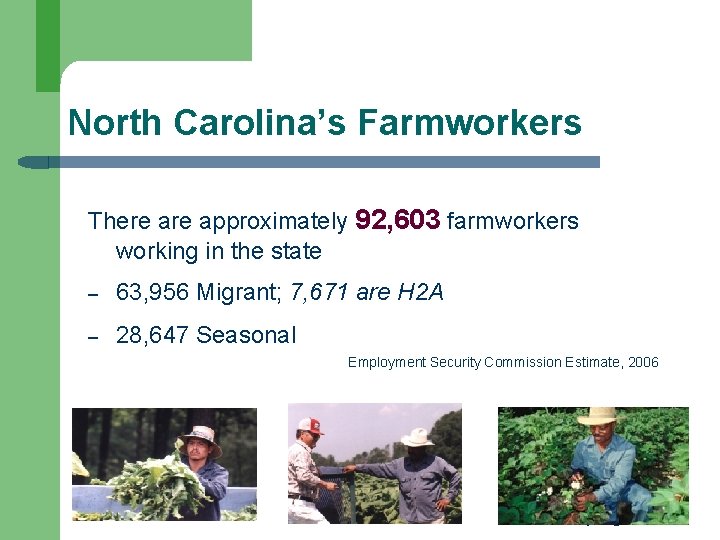 North Carolina’s Farmworkers There approximately 92, 603 farmworkers working in the state – 63,