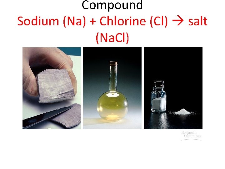 Biochemistry Chemistry of Life Element Chlorine Cl Compound