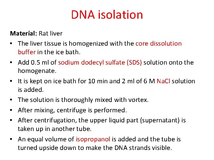 DNA isolation Material: Rat liver • The liver tissue is homogenized with the core