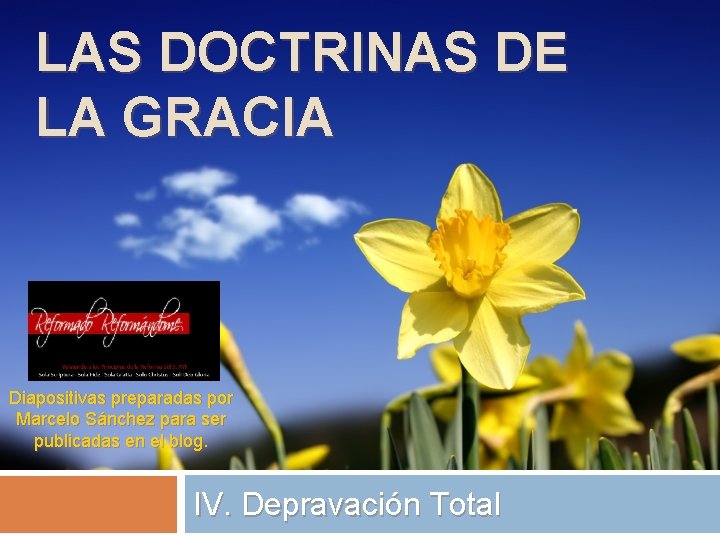 LAS DOCTRINAS DE LA GRACIA Diapositivas preparadas por Marcelo Sánchez para ser publicadas en