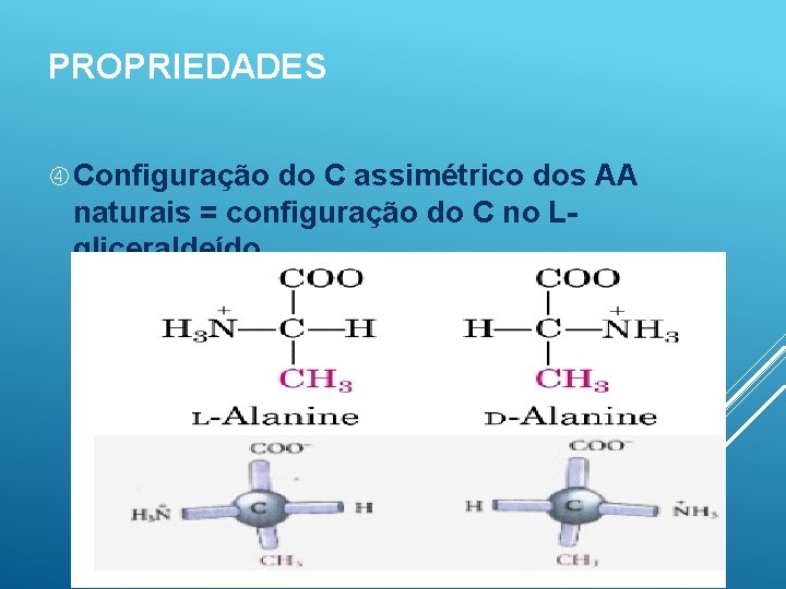 PROPRIEDADES Configuração do C assimétrico dos AA naturais = configuração do C no Lgliceraldeído.