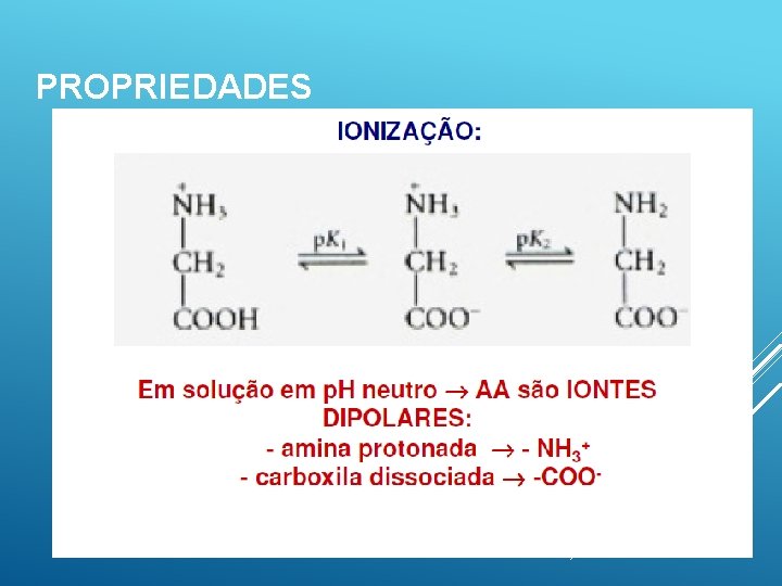 PROPRIEDADES 