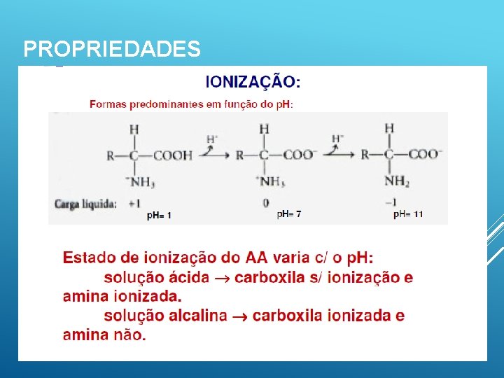 PROPRIEDADES 