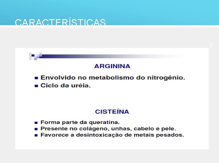 CARACTERÍSTICAS E 