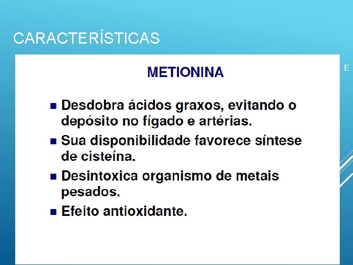 CARACTERÍSTICAS E 