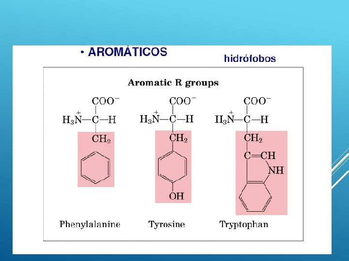 AMINOÁCIDOS 