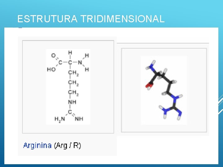 ESTRUTURA TRIDIMENSIONAL 