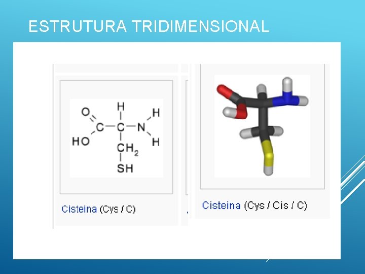 ESTRUTURA TRIDIMENSIONAL 