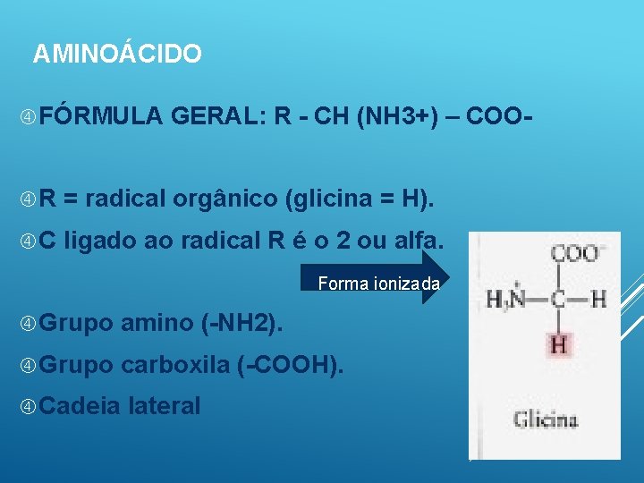 AMINOÁCIDO FÓRMULA GERAL: R - CH (NH 3+) – COO- R = radical orgânico