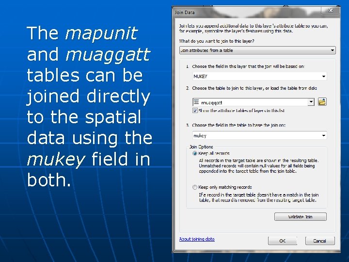 The mapunit and muaggatt tables can be joined directly to the spatial data using